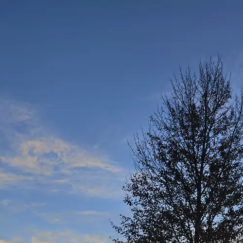 來(lái)西北甘肅敦煌公司團(tuán)體旅游或者企業(yè)外地開(kāi)會(huì)租車包車時(shí)的注意事項(xiàng)有哪些？