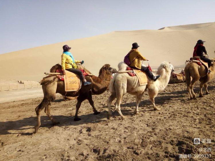 敦煌租車分享倒車時(shí)的幾個(gè)技巧？