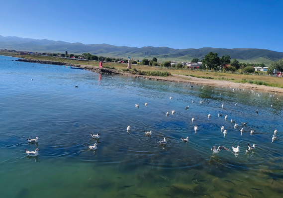 節(jié)假日旅游高峰，如何在敦煌租車最省錢？