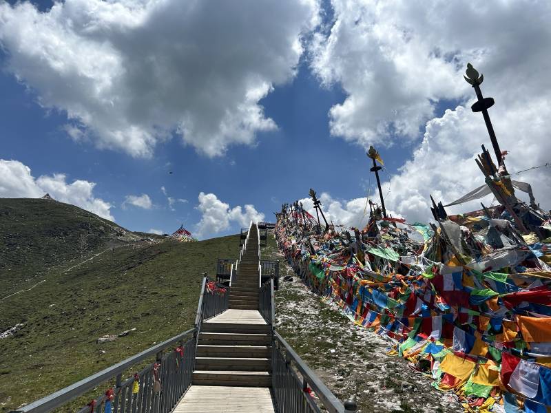 敦煌租車去拉薩一定要用越野車嗎？