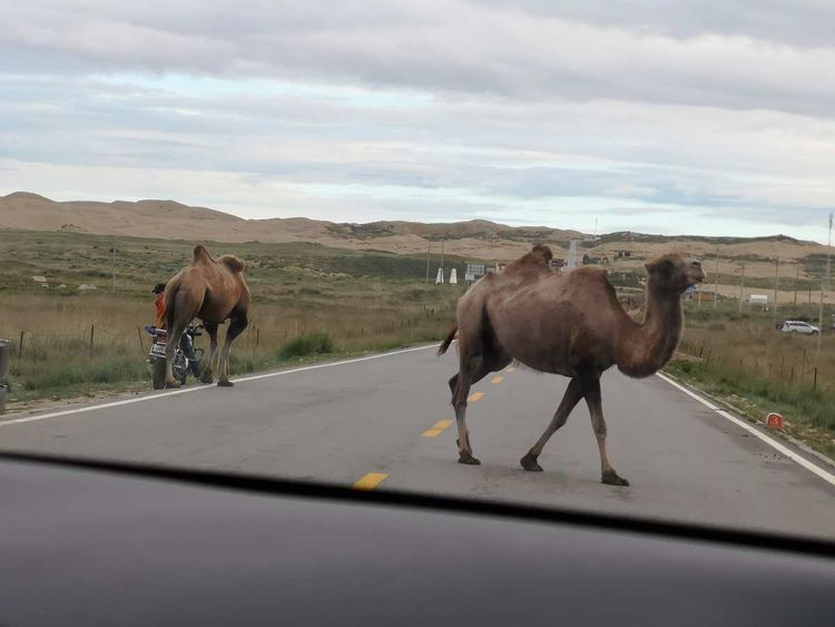 敦煌租車(chē)公司教你預(yù)防爆胎方法？