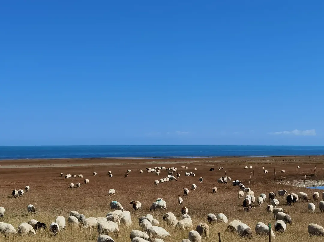 敦煌租車(chē)會(huì)被坑嗎？