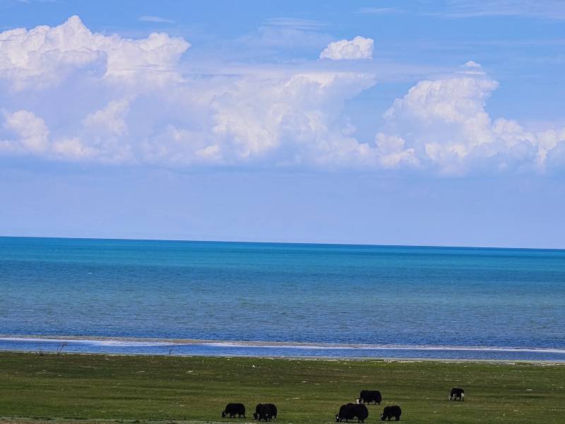 敦煌包車租車讓出行更加舒適
