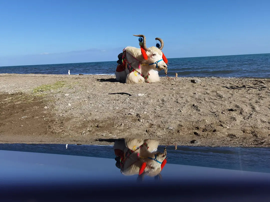 敦煌包車租車需要注意什么？