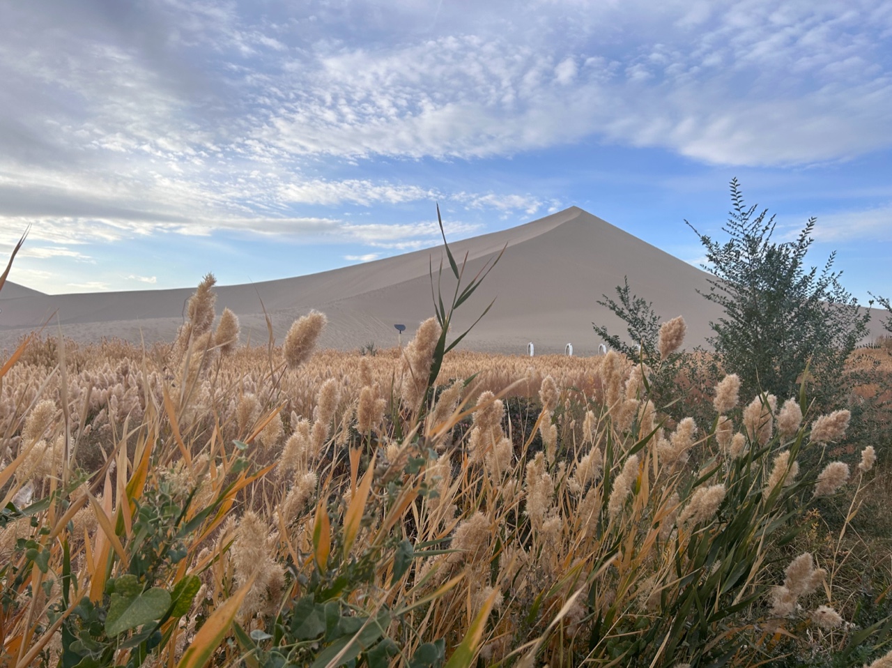敦煌包車租車包車的幾點小建議！