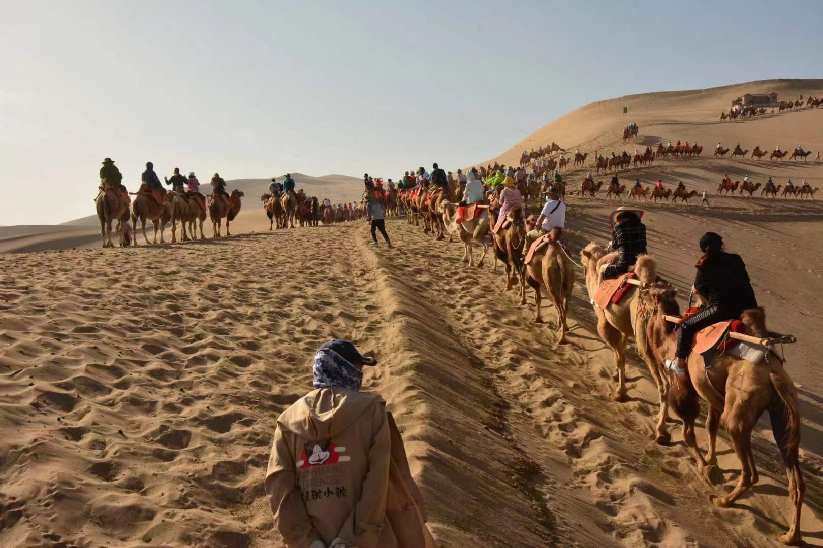 敦煌租車:買車、打的還是租車好？哪個更劃算