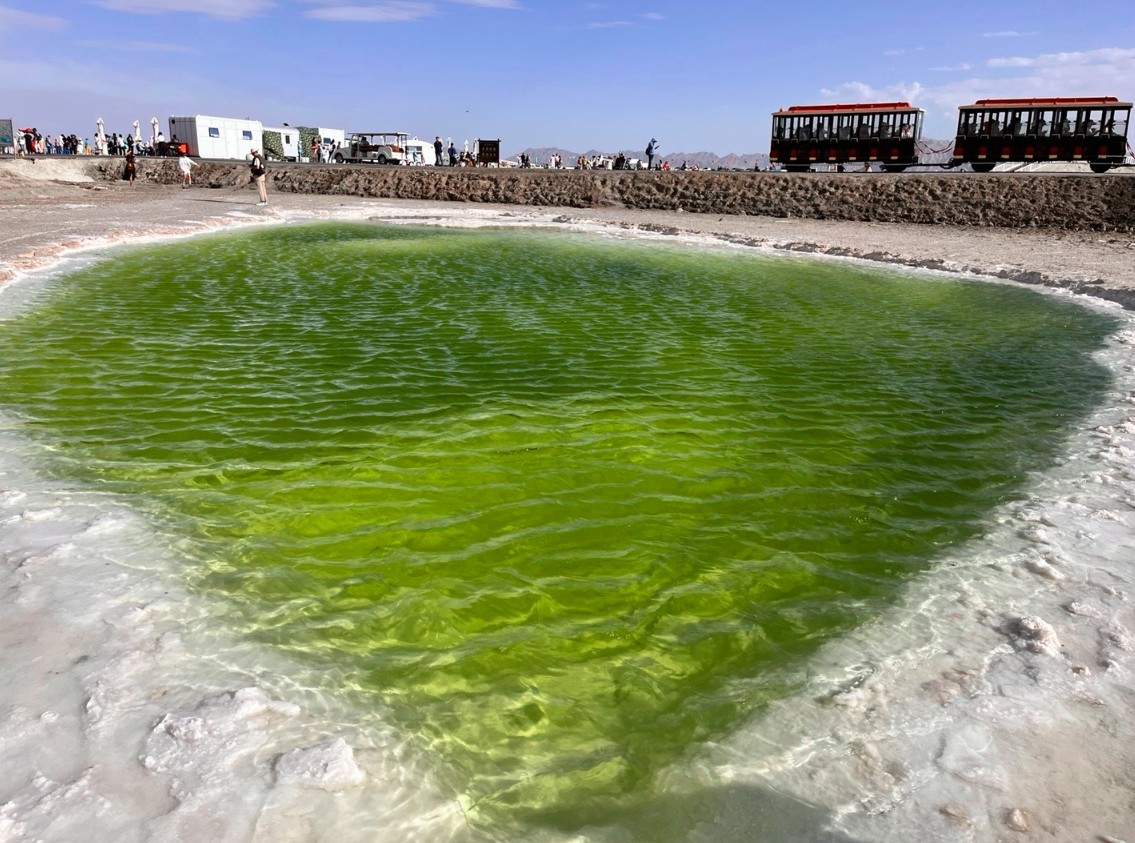 敦煌逐西租車公司：如何選擇一個合適的敦煌租車公司？