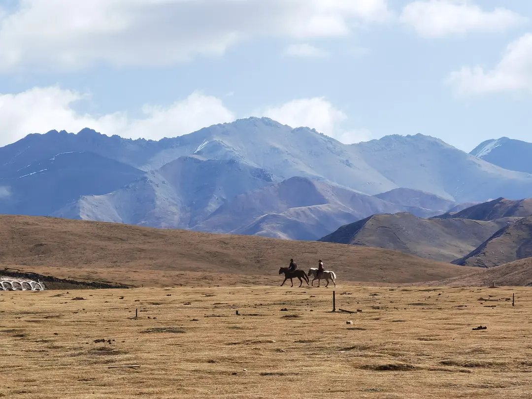 敦煌租車公司中的小鮮肉，為什么吸引年輕人？