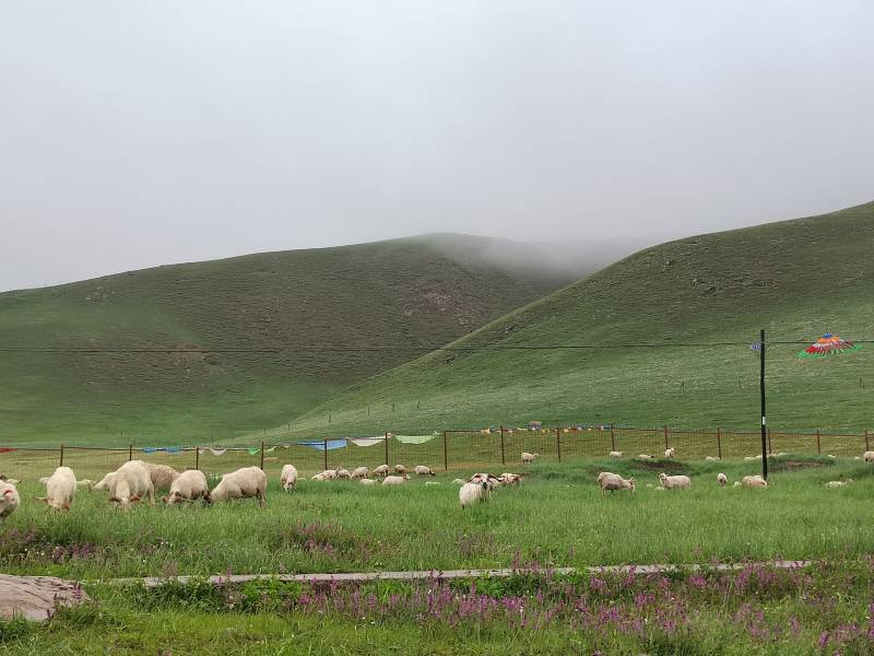敦煌租車(chē)小團(tuán)包車(chē)旅游：敦煌包車(chē)新疆旅游：哈密、烏魯木齊、賽里木湖、巴音布魯克