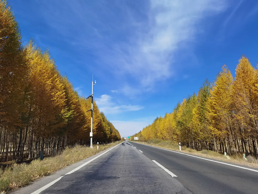 敦煌租車(chē)小團(tuán)包車(chē)旅游：敦煌包車(chē)到青海湖西寧用越野車(chē)好還是轎車(chē)呢?