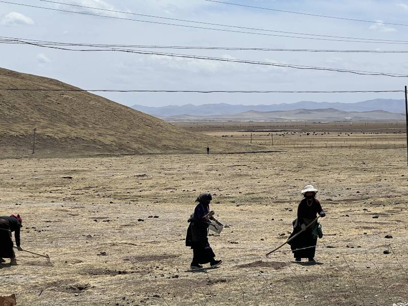 甘肅包車師傅推薦