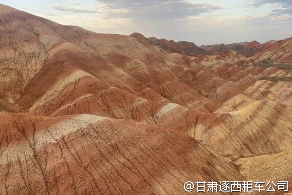 想體驗沙漠露營，包車能直接送到營地嗎？  