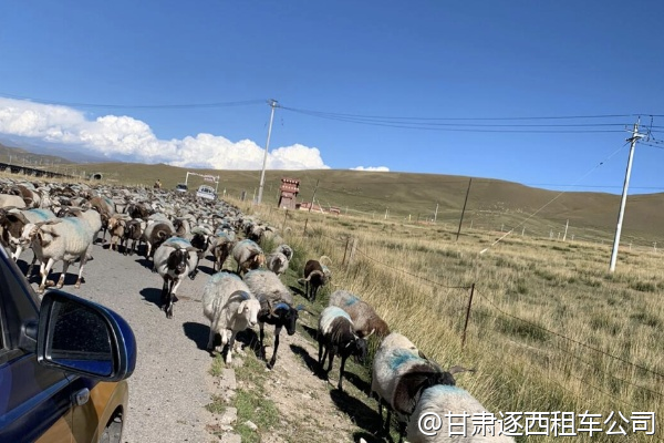 我們想租一輛豪華中巴，車內有沒有USB充電口？  