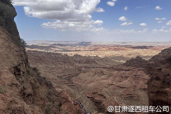 想找一位熟悉植物學(xué)的導(dǎo)游，包車(chē)講解河西走廊植被？  